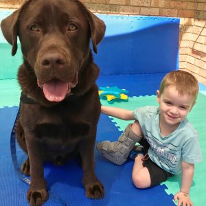 Animal-assisted therapy for children