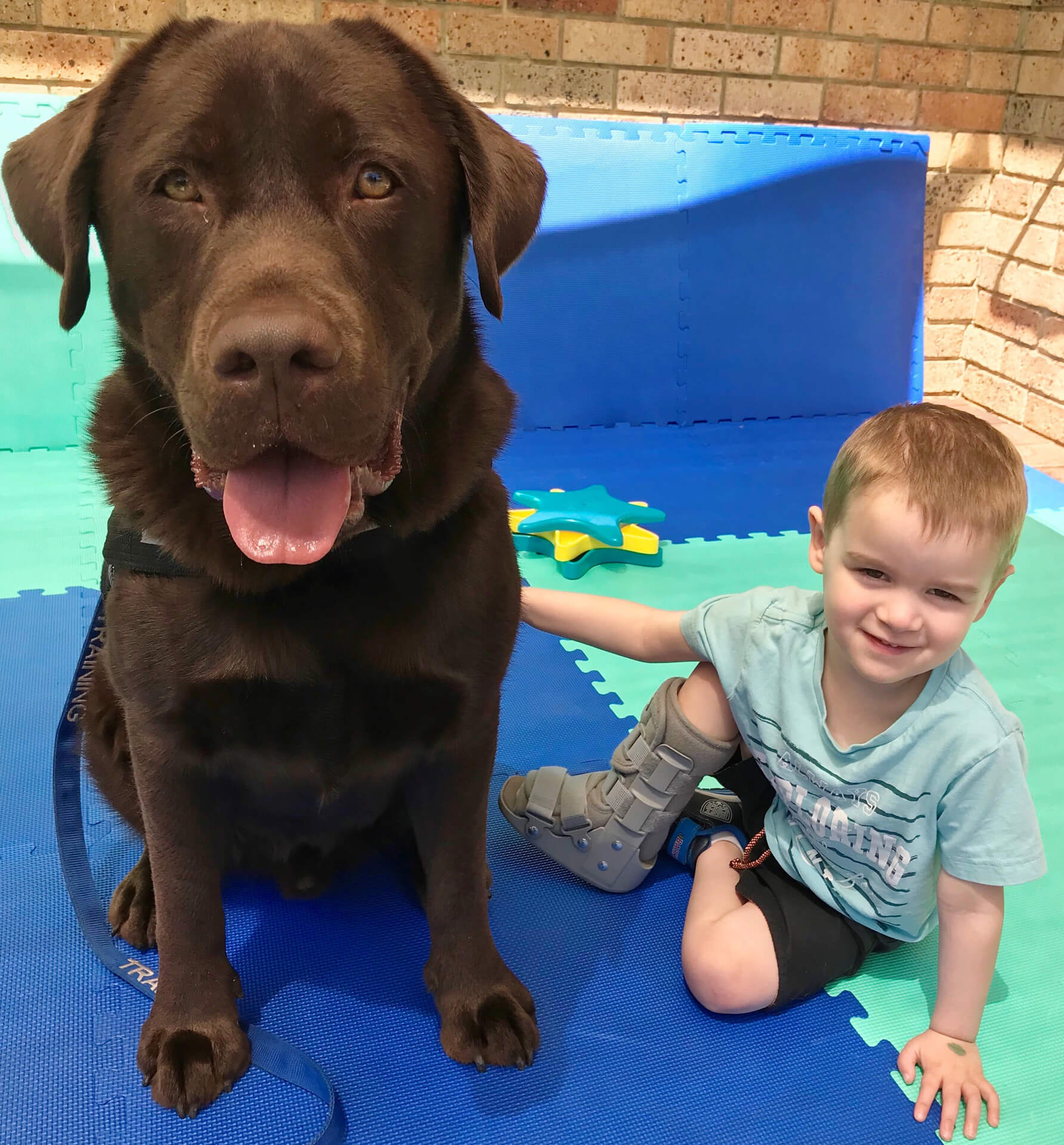 Animal Assisted Therapy for children – Kids Compass, Chirnside Park