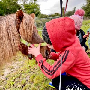 Equine-assisted social skills program