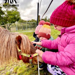 Equine-assisted social skills program